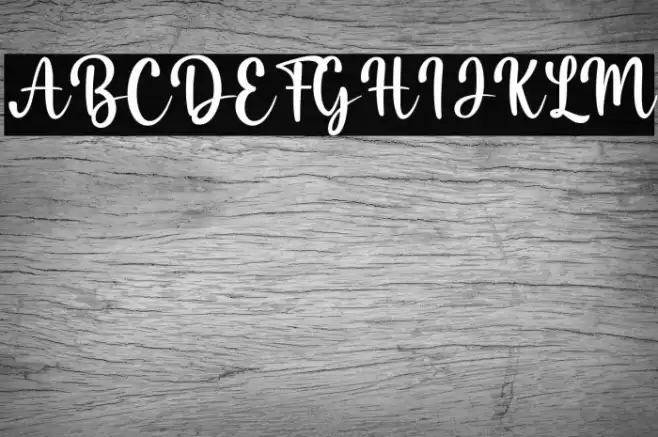 Misha Salma Font examples