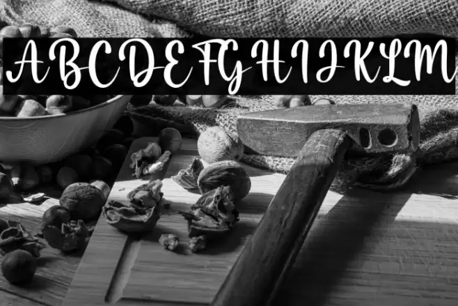 Misha Salma Font examples