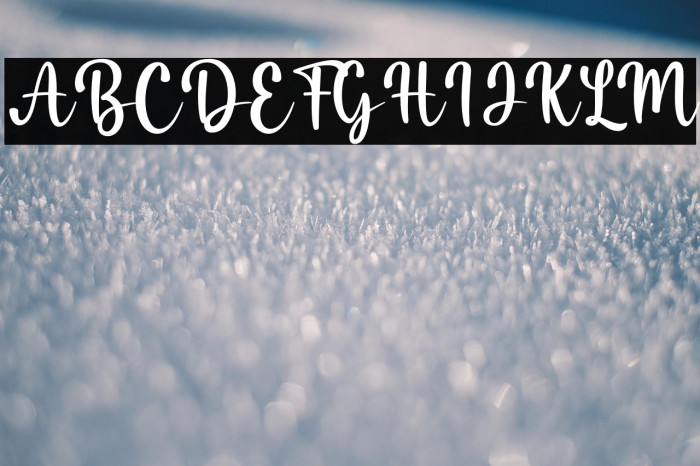 Misha Salma Example 2