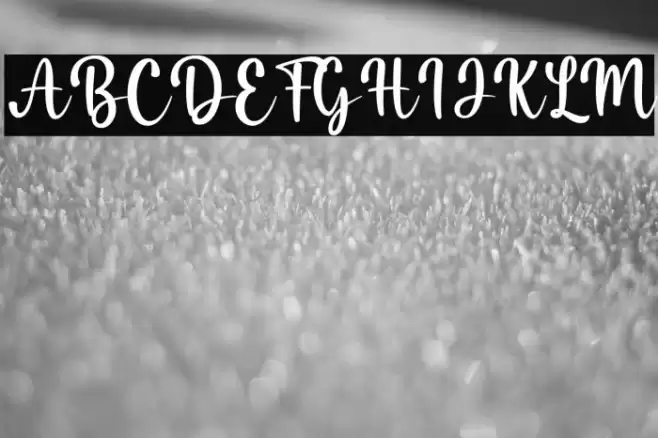 Misha Salma Font examples