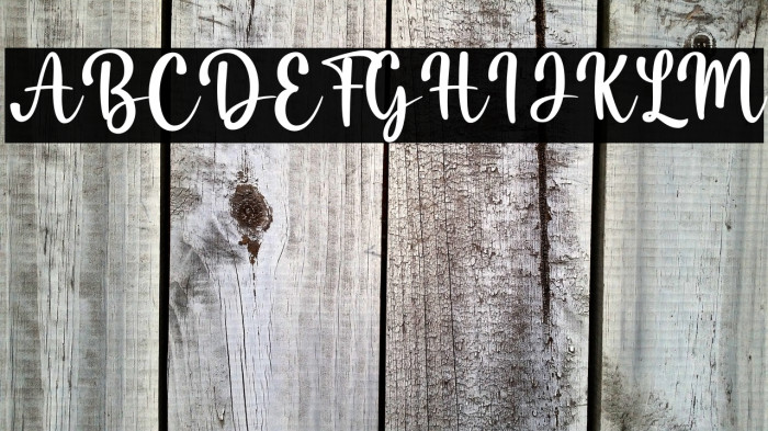 Misha Salma Example 3