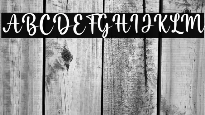 Misha Salma Font examples