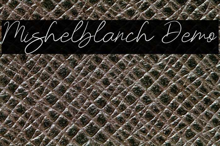 Mishelblanch Demo Example 1