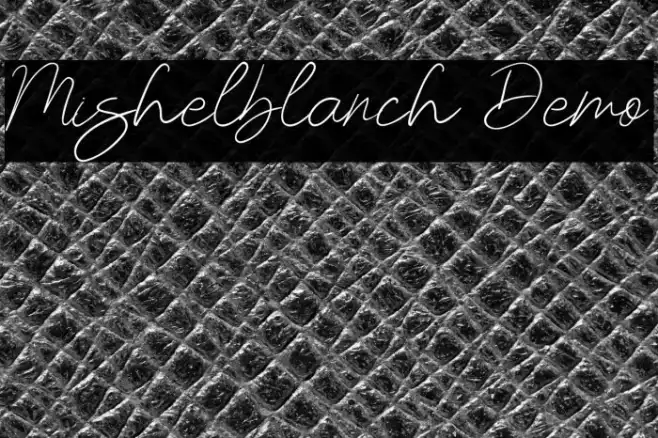 Mishelblanch Demo Example 1