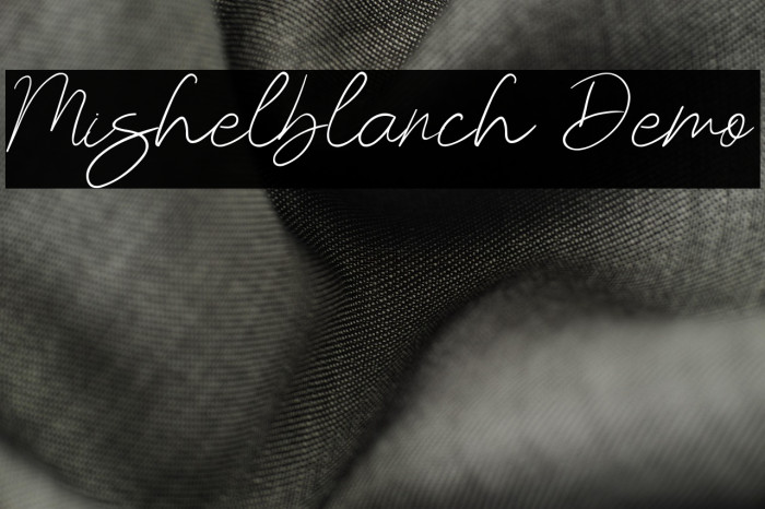 Mishelblanch Demo Example 2