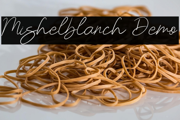 Mishelblanch Demo Example 3