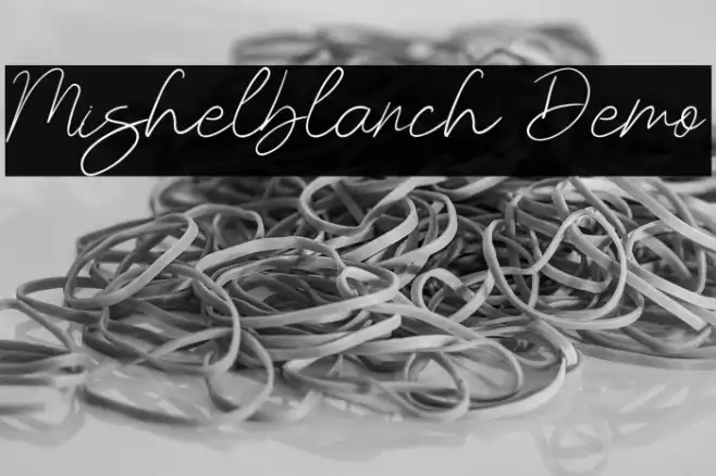 Mishelblanch Demo Example 3