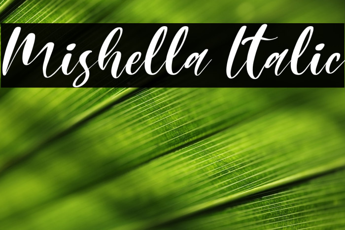 Mishella Italic Example 1