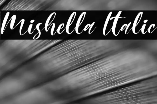 Mishella Italic Example 1