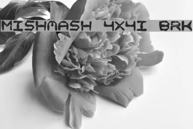 Mishmash 4x4i BRK Font examples