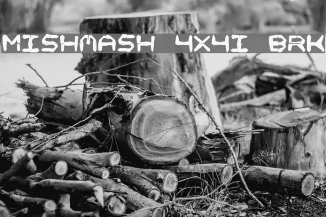 Mishmash 4x4i BRK Font examples