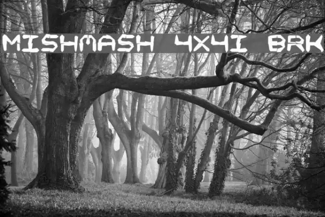 Mishmash 4x4i BRK Font examples