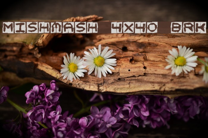 Mishmash 4x4o BRK Шрифта examples