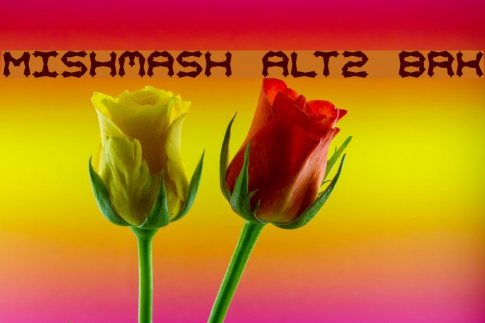 Mishmash ALT2 BRK Font examples