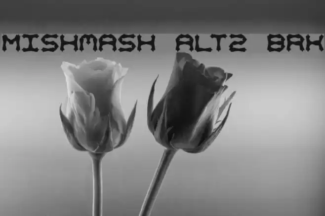 Mishmash ALT2 BRK フォント examples