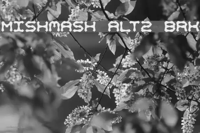 Mishmash ALT2 BRK フォント examples