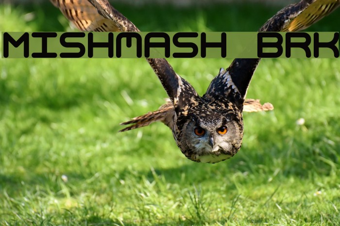 Mishmash BRK Font examples