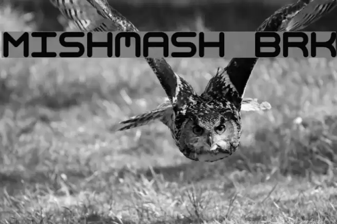 Mishmash BRK Schriftart examples