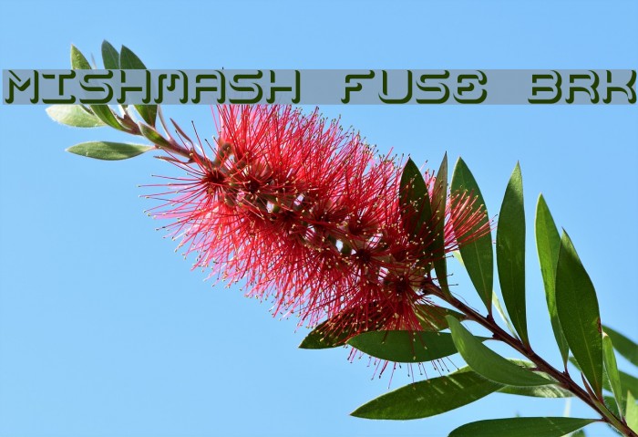 Mishmash Fuse BRK Font examples