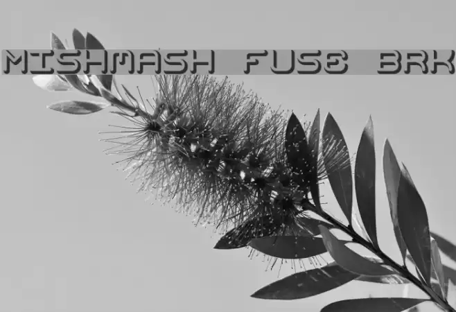 Mishmash Fuse BRK Schriftart examples