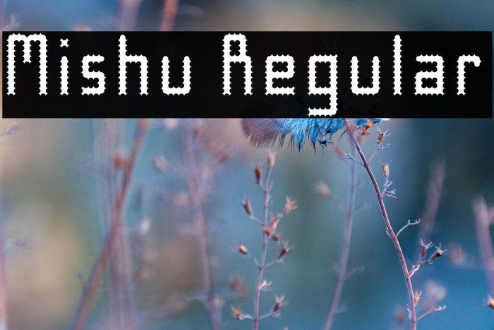 Mishu Regular Example 2