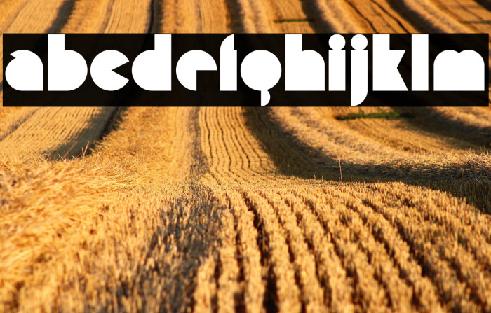 Misirlou-Regular Example 3