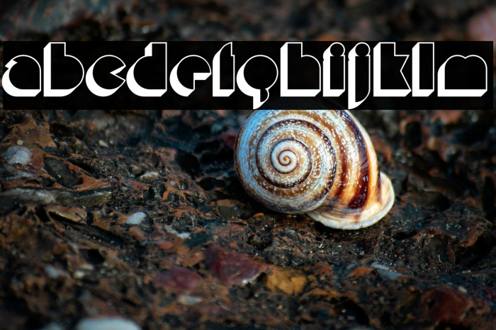 MisirlouDay-Regular Example 1