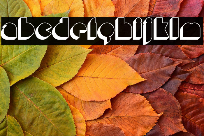 MisirlouDay-Regular Example 3