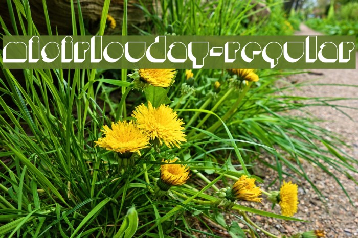 MisirlouDay-Regular Example 3