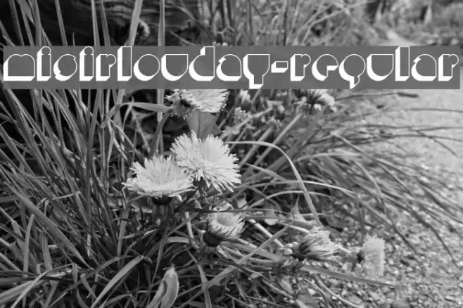 MisirlouDay-Regular Font examples