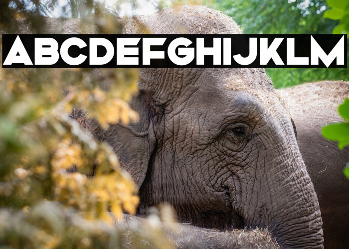 Mismo Black Example 3