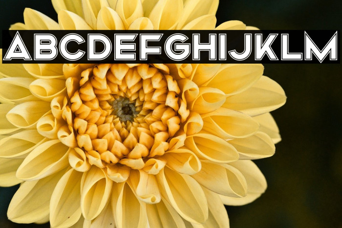 Mismo Campus Example 1