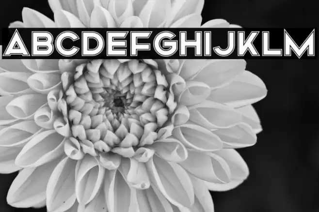 Mismo Campus Font examples