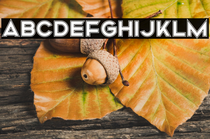 Mismo Campus Example 3