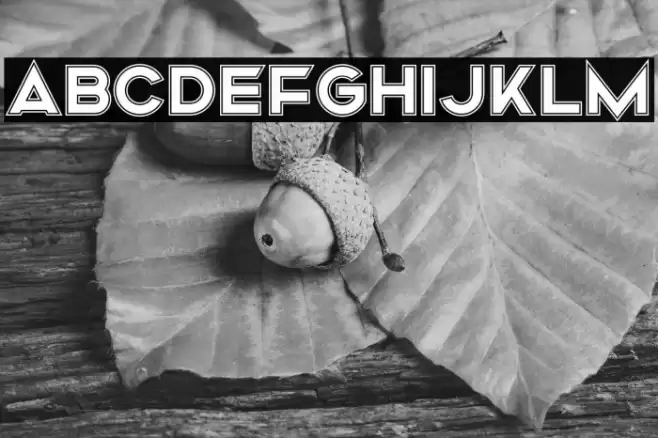 Mismo Campus Font examples