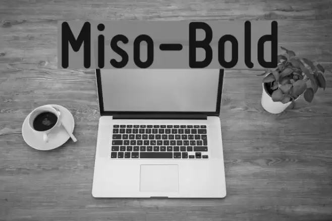 Miso-Bold फ़ॉन्ट examples