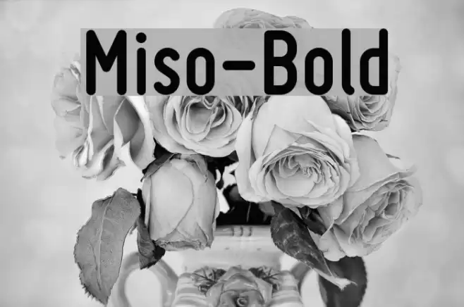 Miso-Bold फ़ॉन्ट examples