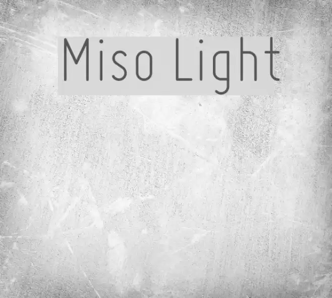 Miso Light Font examples