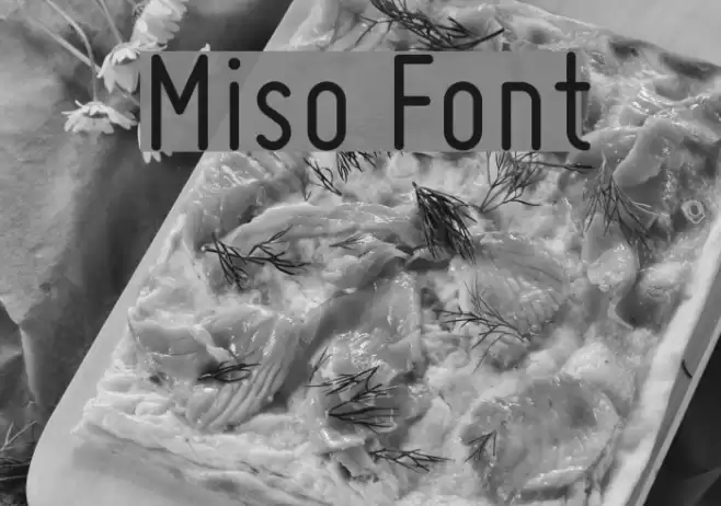 Miso Font examples