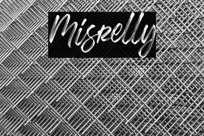 Misrelly Example 3