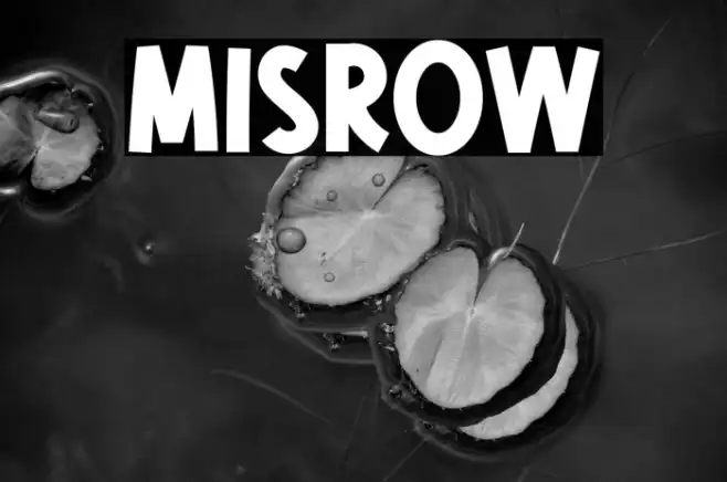 Misrow Example 3