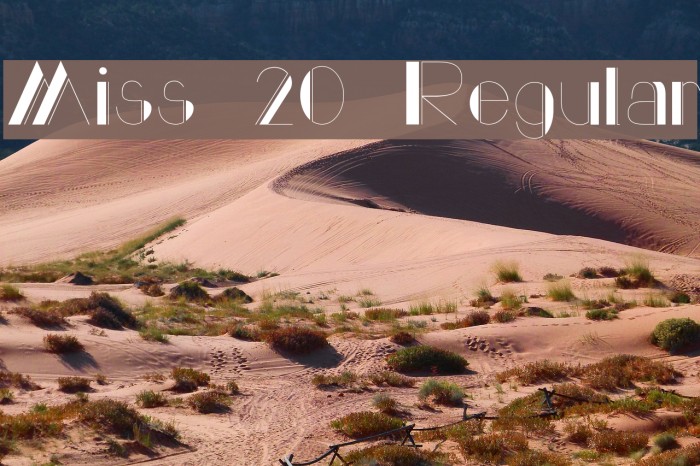 Miss 20 Regular Font examples