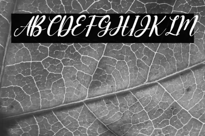 Miss Amalia Italic Font examples