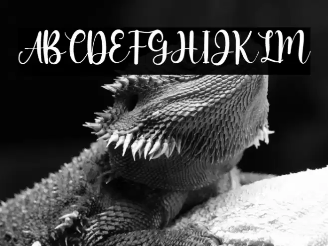 Miss Amalia Font examples