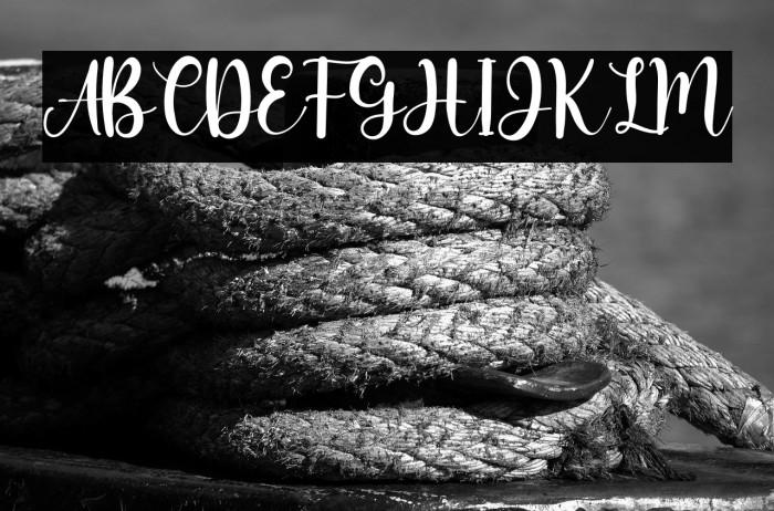 Miss Amalia Example 3