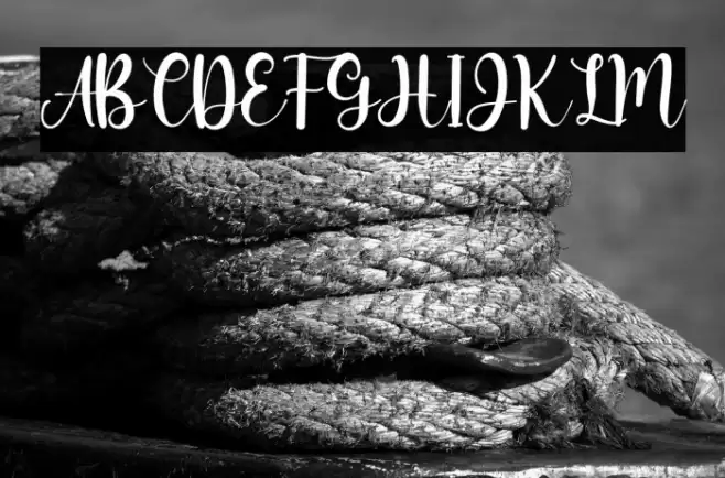 Miss Amalia Font examples