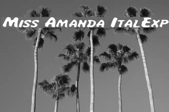 Miss Amanda ItalExp Font examples