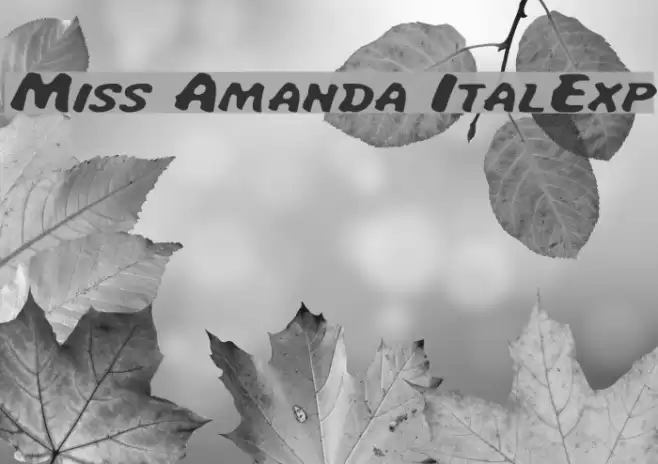 Miss Amanda ItalExp Font examples
