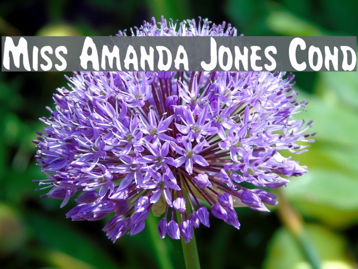 Miss Amanda Jones Cond Fonte examples