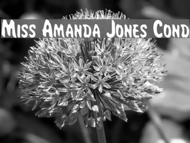 Miss Amanda Jones Cond Font examples